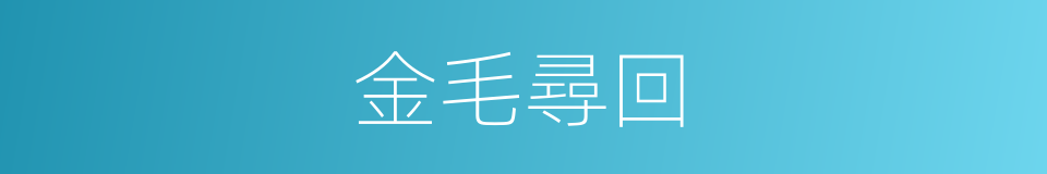 金毛尋回的同義詞