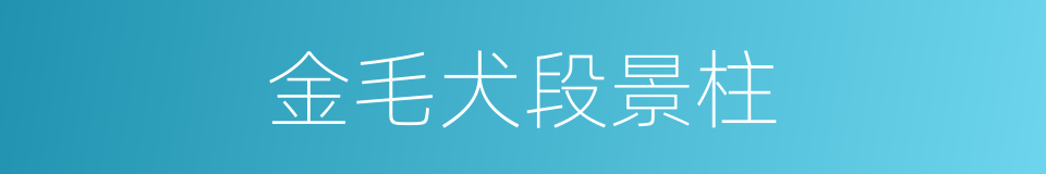 金毛犬段景柱的同义词