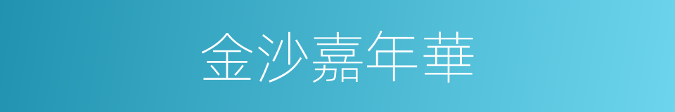 金沙嘉年華的同義詞