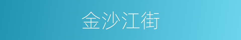金沙江街的同义词