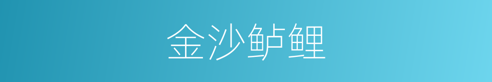 金沙鲈鲤的同义词