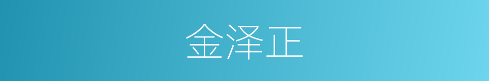 金泽正的同义词