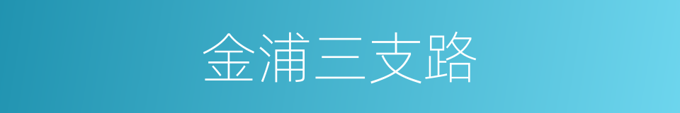 金浦三支路的同义词