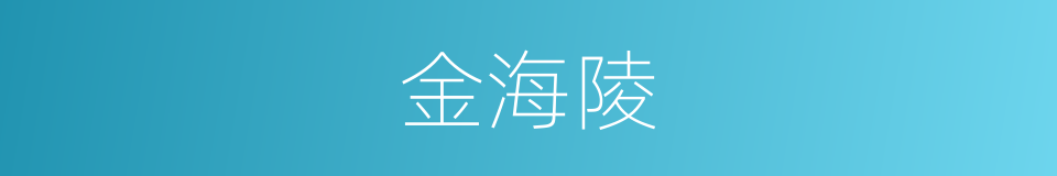 金海陵的同义词