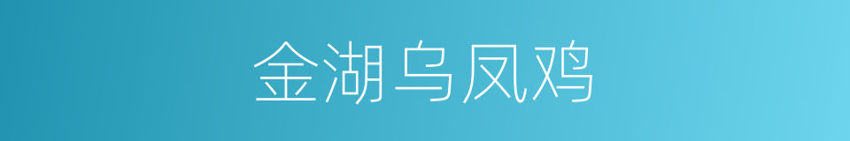 金湖乌凤鸡的同义词