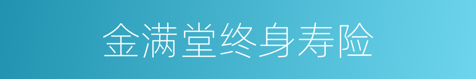 金满堂终身寿险的同义词