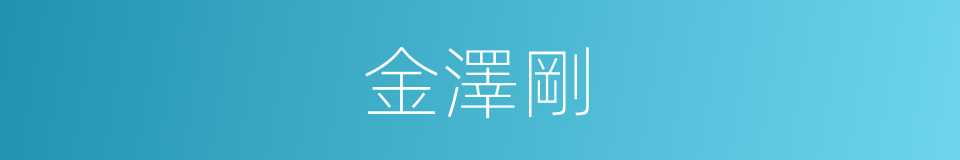 金澤剛的同義詞