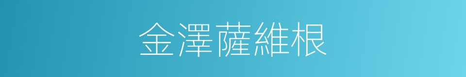 金澤薩維根的同義詞