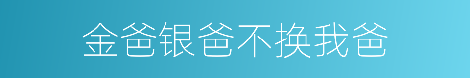 金爸银爸不换我爸的同义词