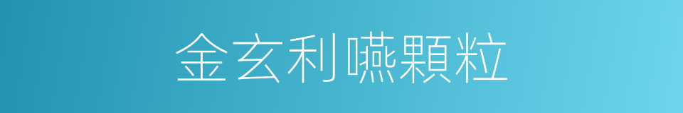 金玄利嚥顆粒的同義詞