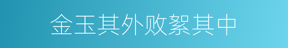 金玉其外败絮其中的同义词