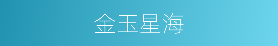 金玉星海的同义词