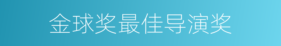 金球奖最佳导演奖的同义词