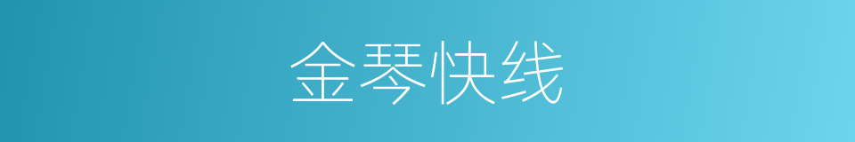 金琴快线的同义词