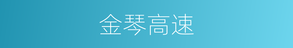 金琴高速的同义词