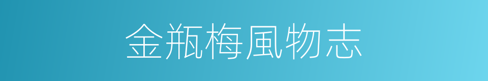 金瓶梅風物志的同義詞