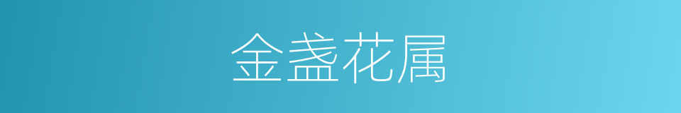 金盏花属的同义词
