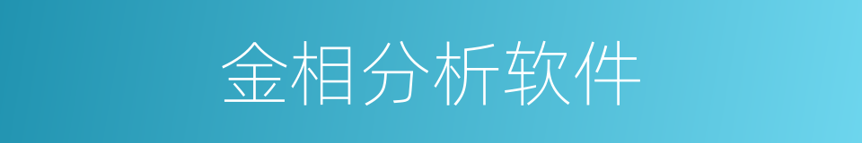 金相分析软件的同义词