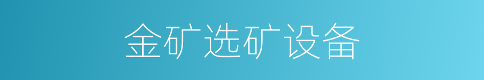 金矿选矿设备的同义词