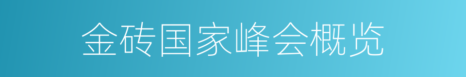 金砖国家峰会概览的同义词