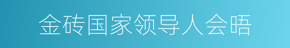 金砖国家领导人会晤的同义词