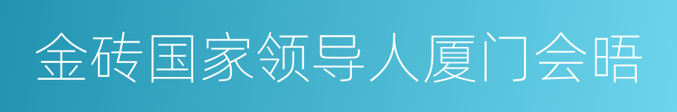 金砖国家领导人厦门会晤的同义词