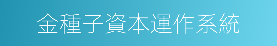 金種子資本運作系統的同義詞