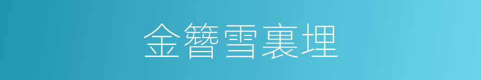 金簪雪裏埋的同義詞