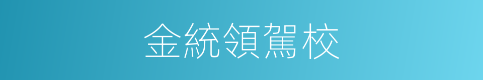 金統領駕校的同義詞