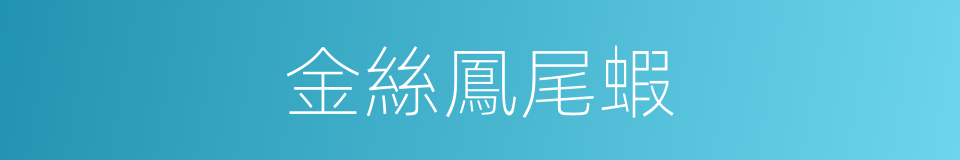 金絲鳳尾蝦的同義詞