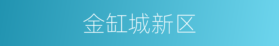 金缸城新区的同义词