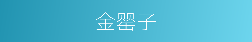 金罂子的意思
