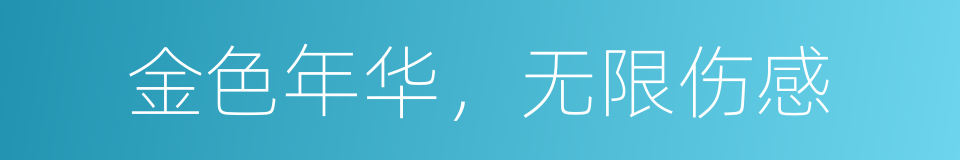 金色年华，无限伤感的同义词