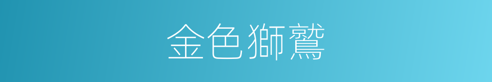 金色獅鷲的同義詞