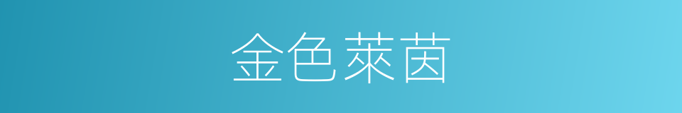 金色萊茵的同義詞