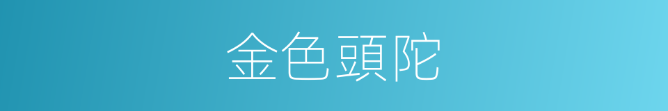 金色頭陀的同義詞