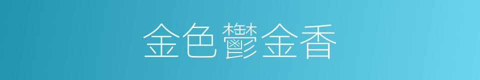 金色鬱金香的同義詞