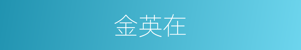 金英在的同义词