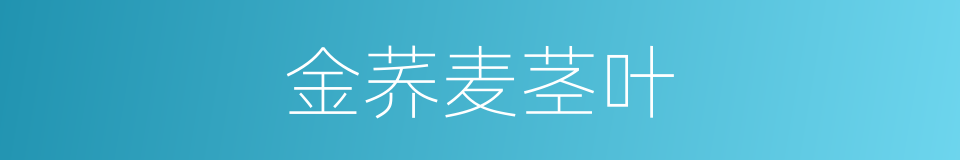 金荞麦茎叶的同义词