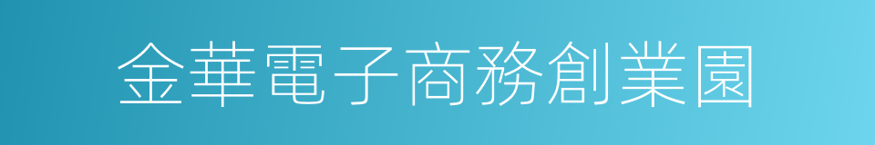 金華電子商務創業園的同義詞