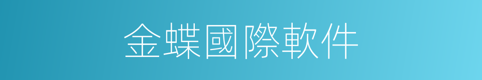 金蝶國際軟件的同義詞