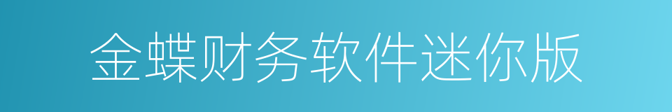 金蝶财务软件迷你版的同义词