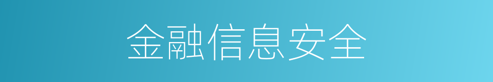 金融信息安全的同义词