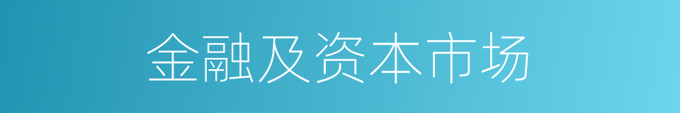 金融及资本市场的同义词