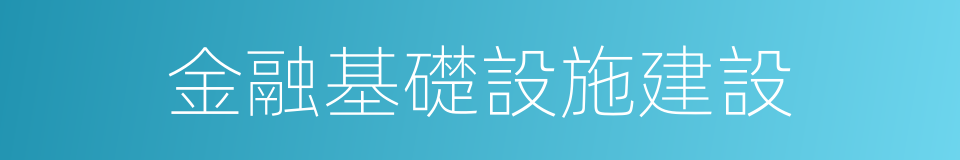 金融基礎設施建設的同義詞