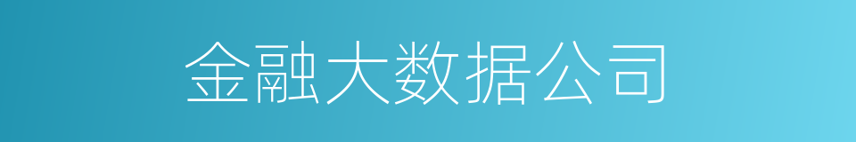 金融大数据公司的同义词