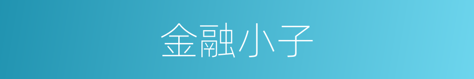 金融小子的同义词