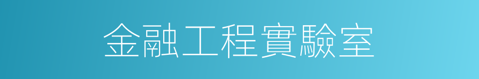 金融工程實驗室的同義詞
