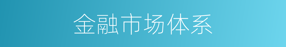 金融市场体系的同义词