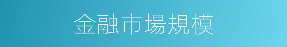 金融市場規模的同義詞